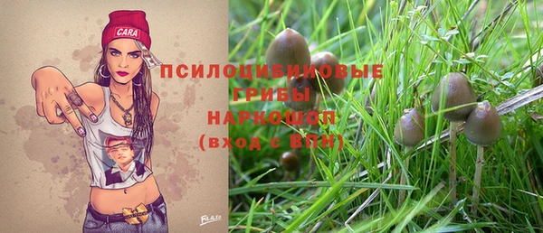 a pvp Аркадак