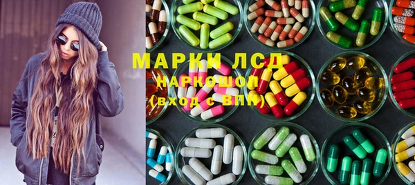 гидра Арсеньев