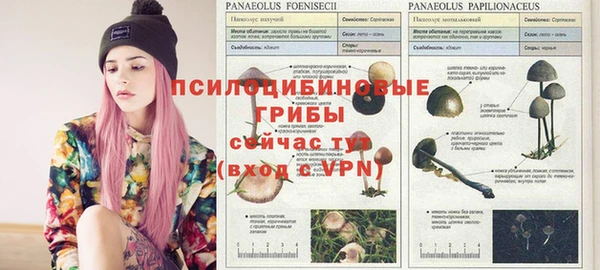 a pvp Аркадак
