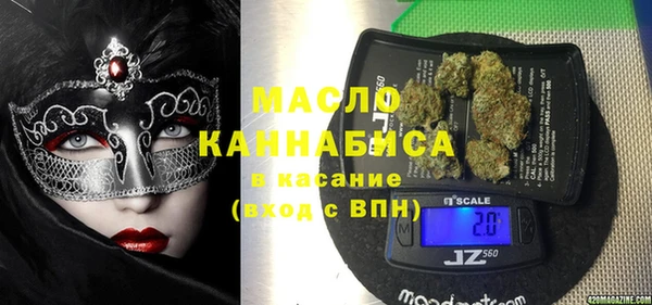 гидра Арсеньев