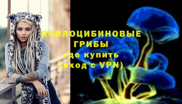 гидра Арсеньев