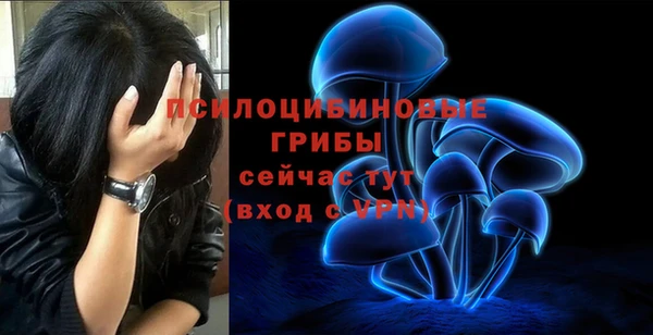 a pvp Аркадак